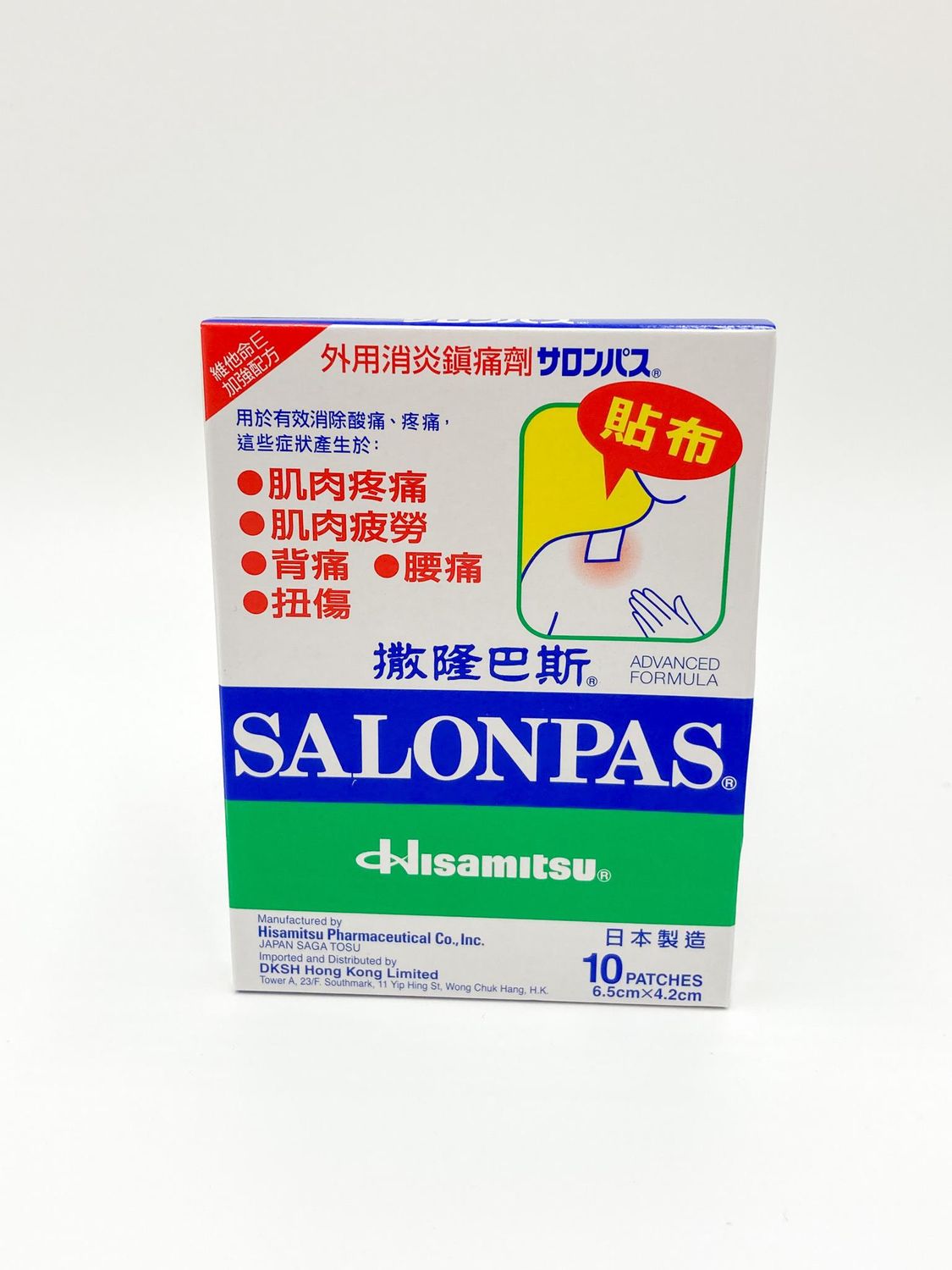 Hisamitsu Salonpas 10 Patches 6.5cmx4.2cm | PinoyNZTrading