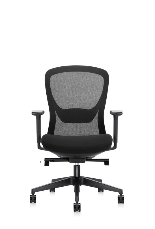 Scaun ergonomic Bon 6252B