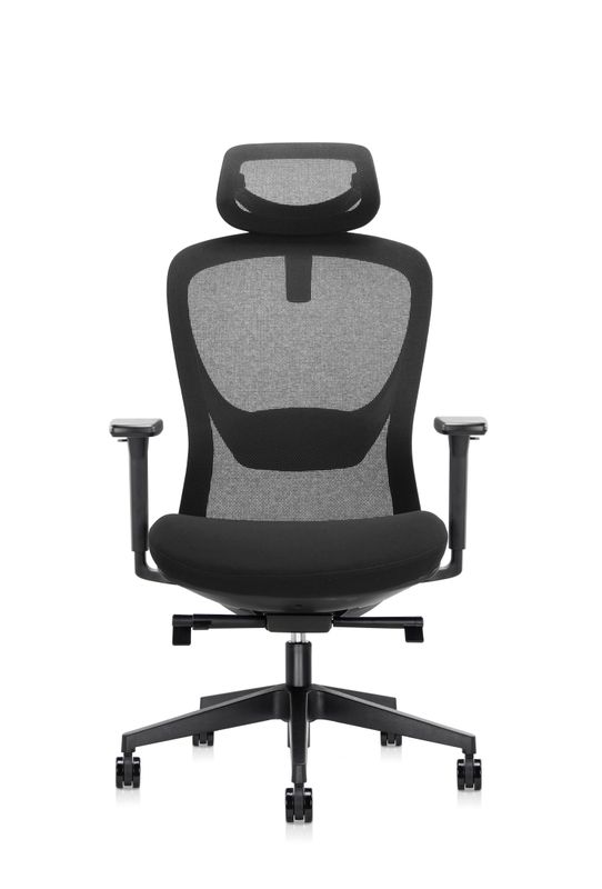 Scaun ergonomic Bon 6252A