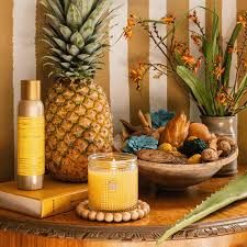 AQ Agave Pineapple