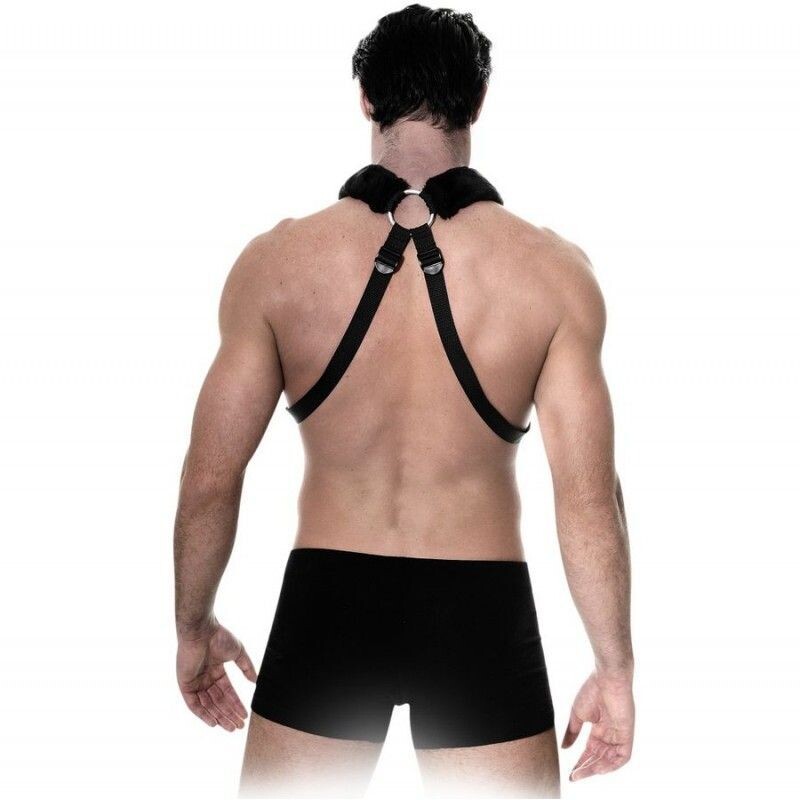Arnes de Cuerpo Posiciones Múltiples