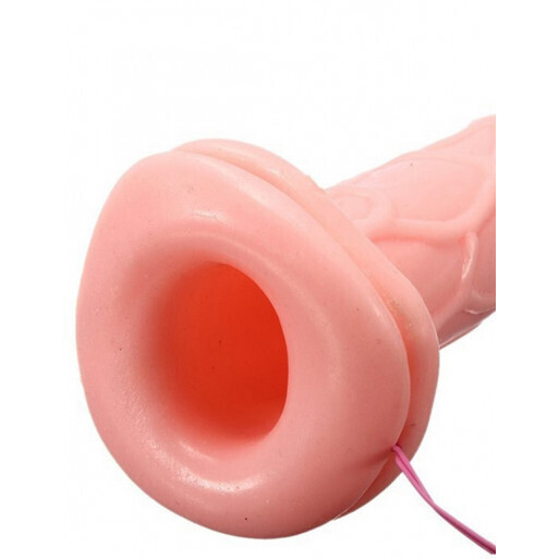 PROTESIS DILDO CON ARNES Y VIBRACIÓN