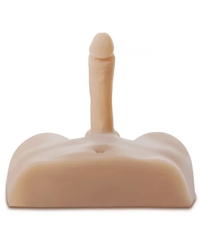 TORSO CON PENE Y TESTICULOS