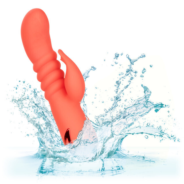 California Dreaming® Condado de Orange Cutie