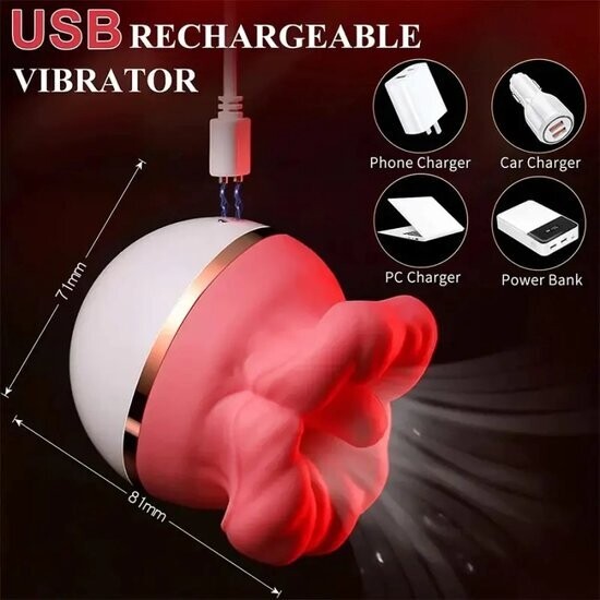 VIBRADOR Y SUCCIONADOR TIPO BOCA