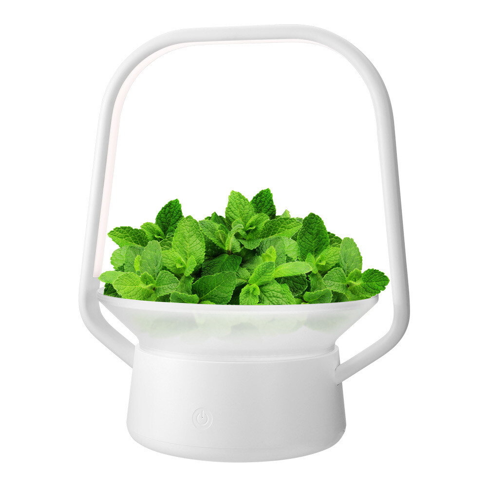 Vegebox™ Smart Indoor Hydroponic Garden (V-Basket)