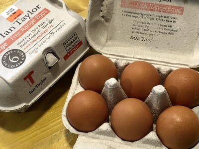 1/2 Dozen Eggs