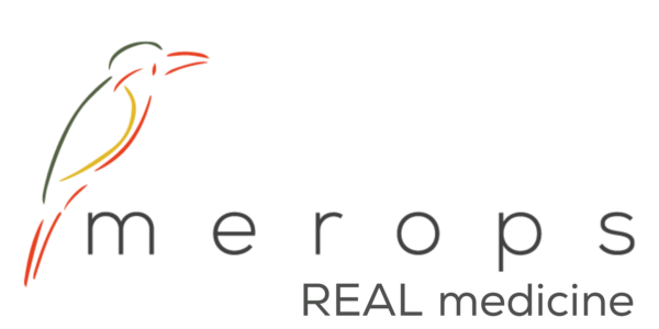 Merops Online Store
