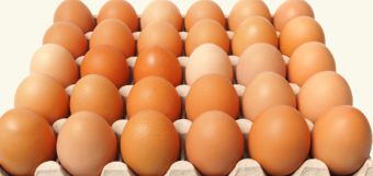Free-Range Eggs (Dozen)