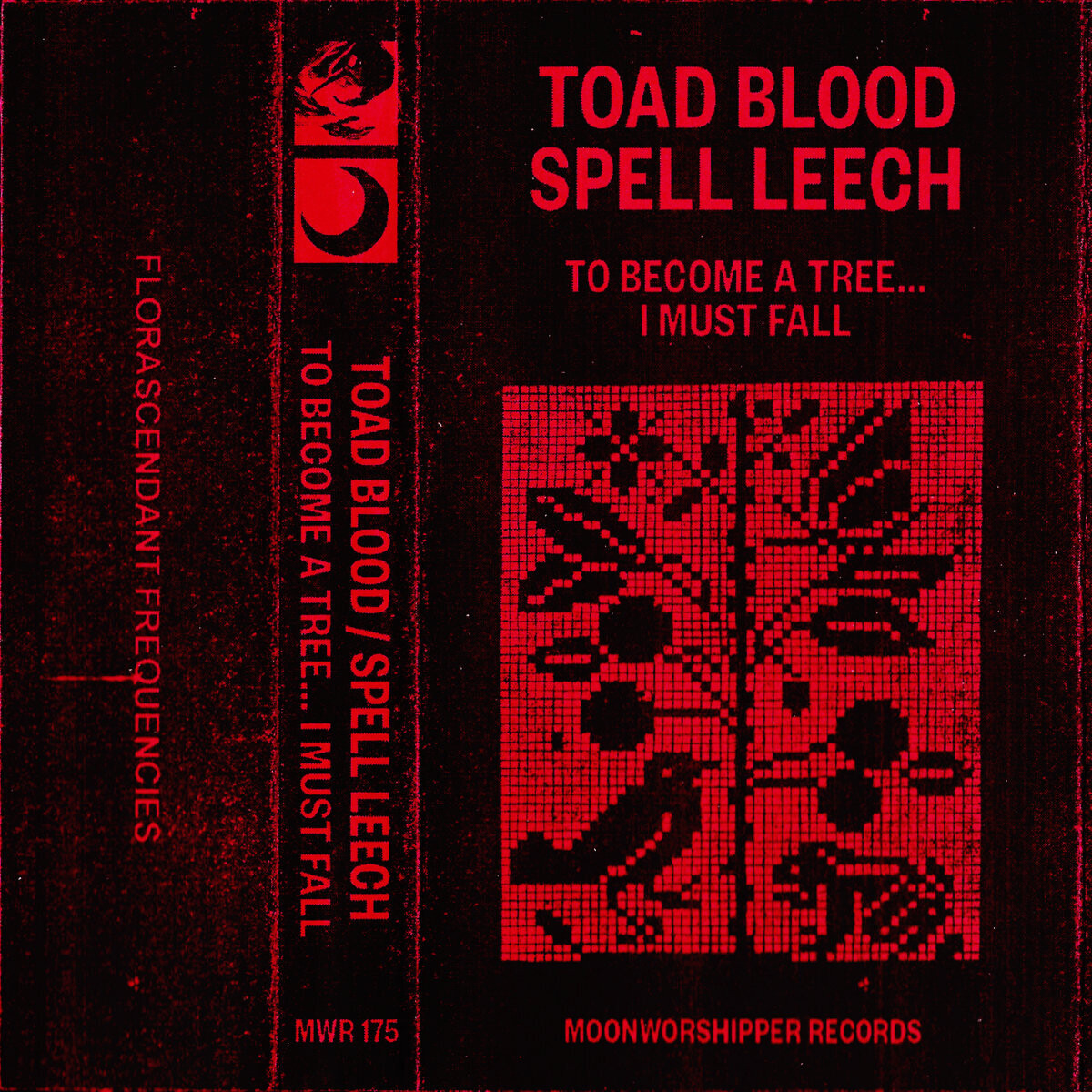 TOAD BLOOD / SPELL LEECH (US) To Become a Tree... I Must Fall  [MC]