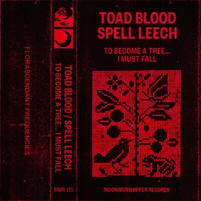 TOAD BLOOD / SPELL LEECH (US) To Become a Tree... I Must Fall  [MC]
