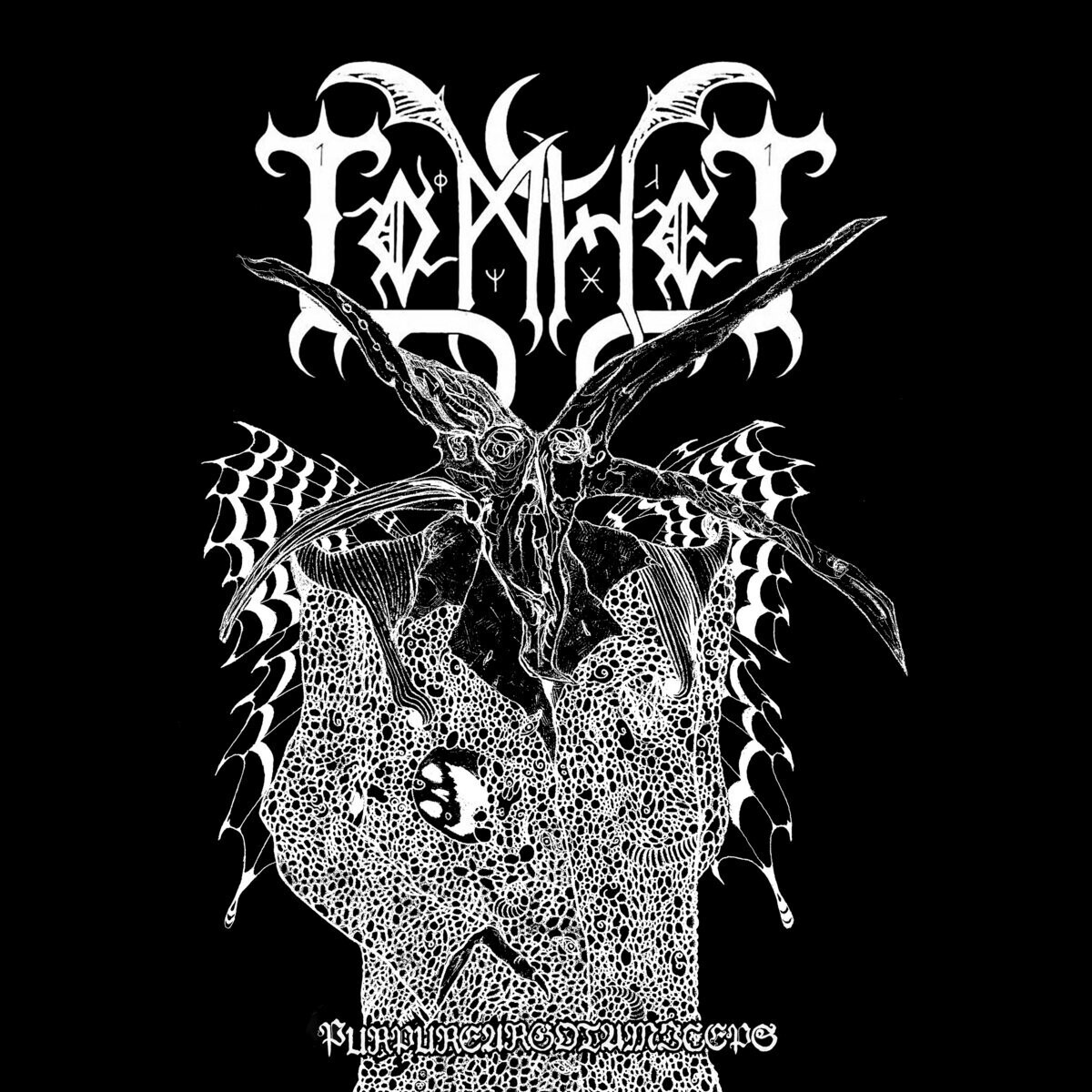 TOMHET (SE) Purpureargotamiceps  [MLP*]