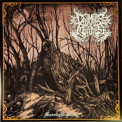 CHAMBER OF MIRRORS (US) Moonlight Decay [LP]