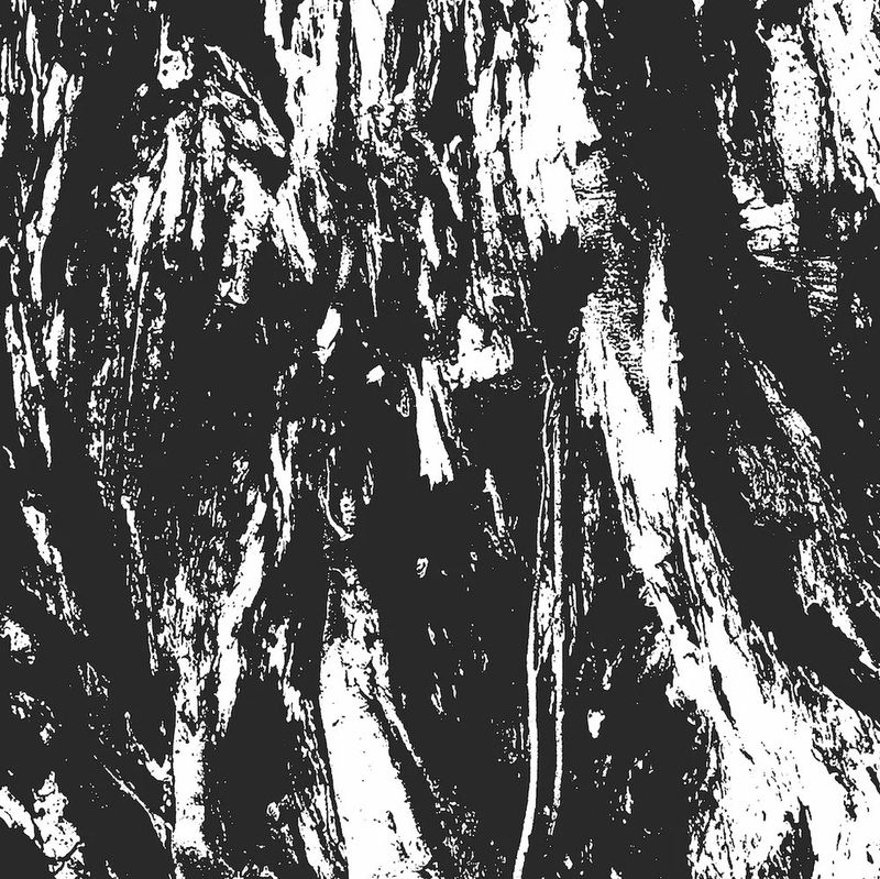 CARVED CROSS / EMPIRE OF HATE (TZ/AUS)  Split  -LP