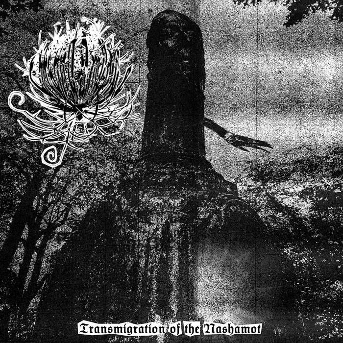 THIRSTING AMPOULE (US)  Transmigration of the Nashamot  [LP]