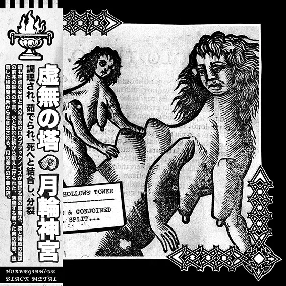 HOLLOWS TOWER / MOONSHRINE (UK/NOR)  Cooked, Boiled &amp; Conjoined into Death ... Split   [LP]