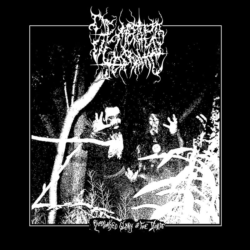 DEMENTED YEARNING  "Bloodsoaked Glory of the Horde"  [LP]
