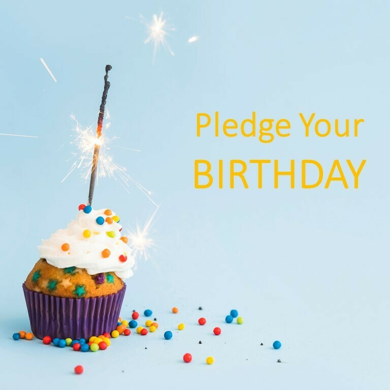 Pledge Your Bithday 30