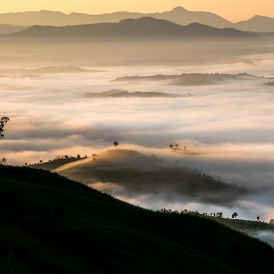 Gathering Energy Through Stillness - Aug. 18, 2026