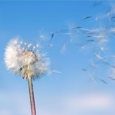 Speech, Story & the Creative Power of Words - June 16, 2026