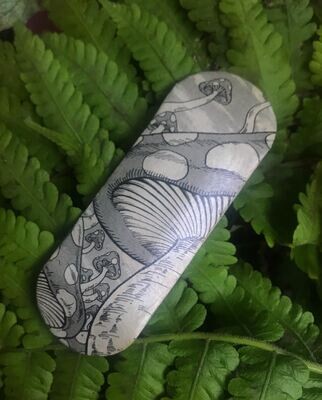SHAPE COGUMELOS 34MM
