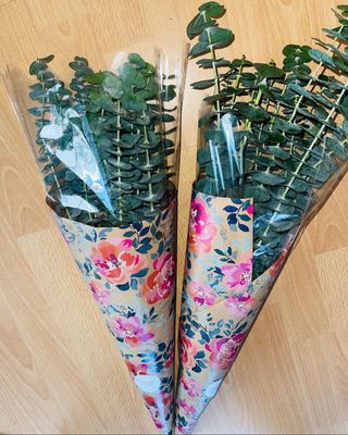 Eucalyptus bundles