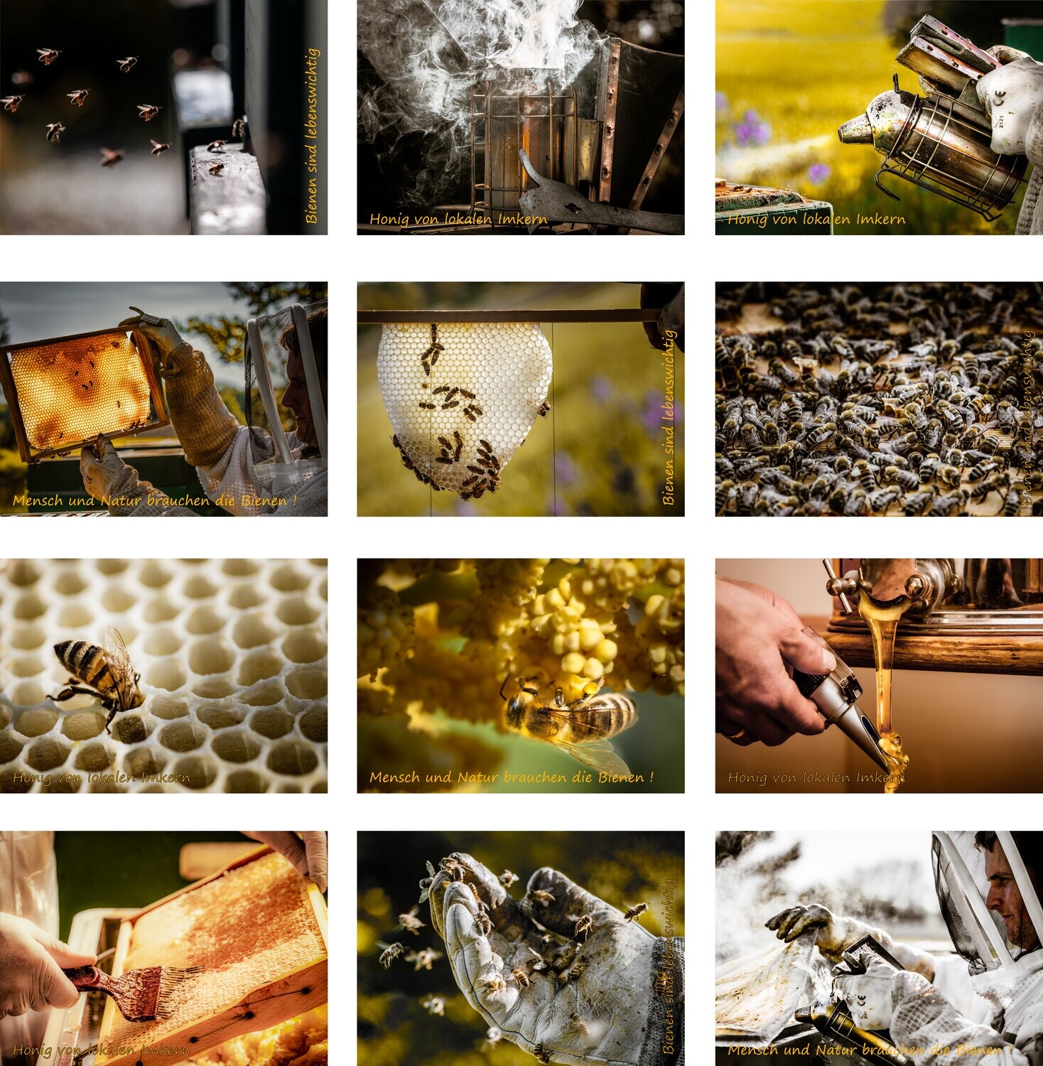Postkarten A6, Set 12 Stk. 
Projekt &quot;Bees &amp; Honey&quot;
