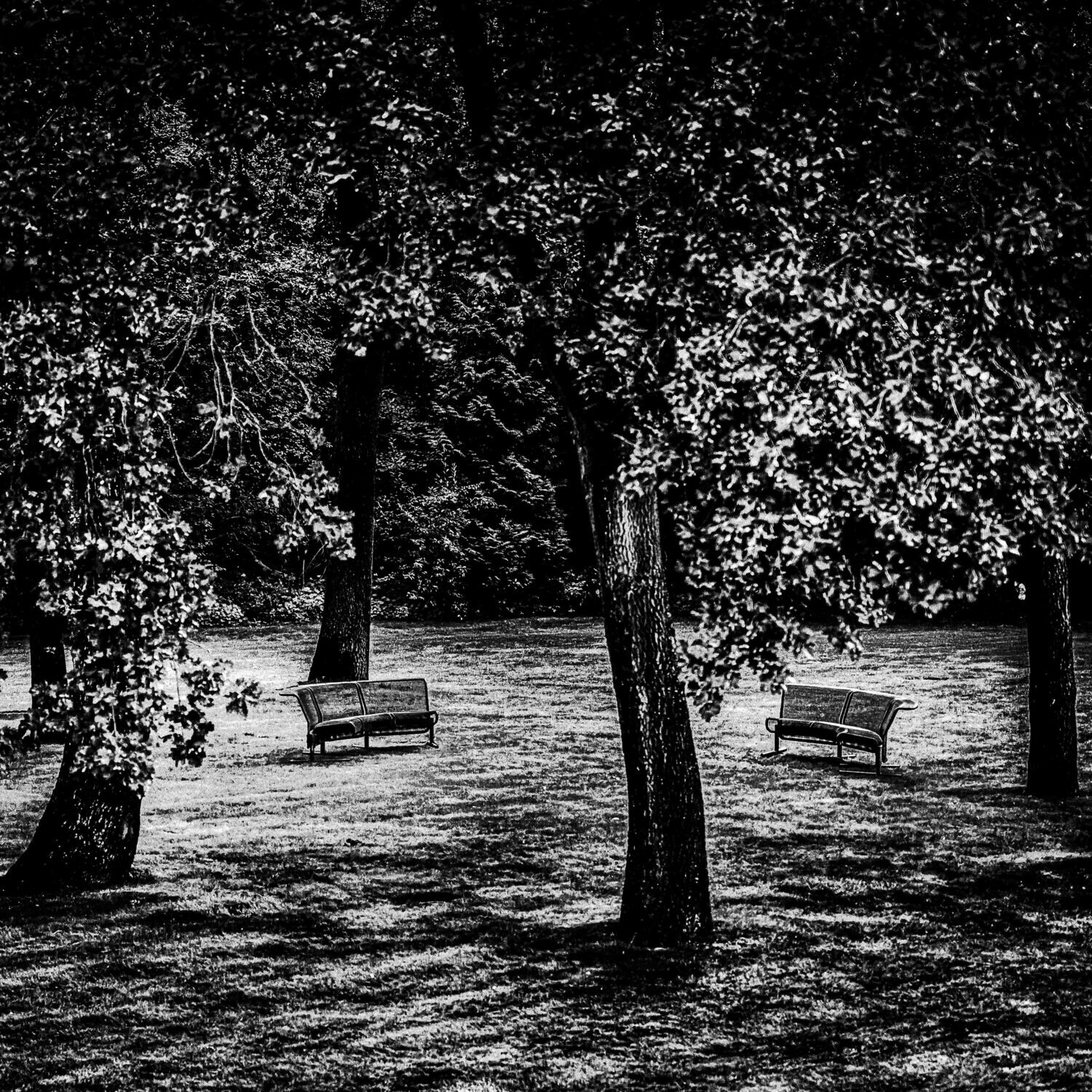 Moody Park - Druck auf Leinwand 
60x60 cm