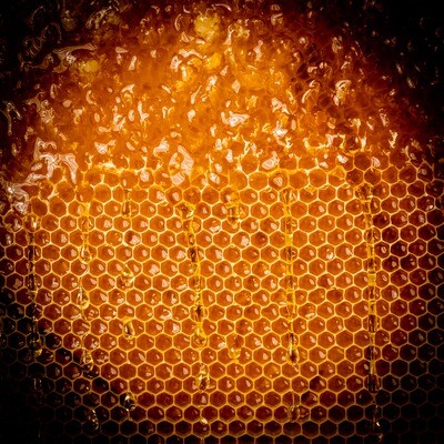 Honig pur - Druck auf Leinwand 
60x60 cm