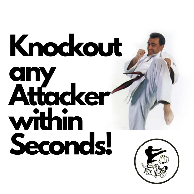 Knockout Any Attacker within Seconds