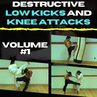 Destructive Low Kicks and Knee Attacks Volume #1