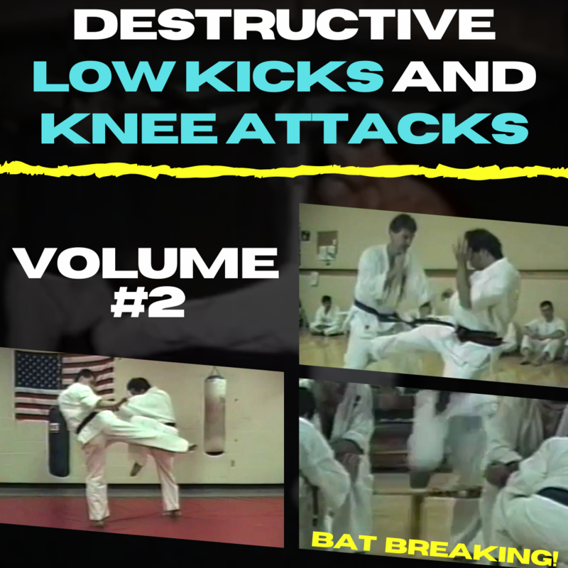 Destructive Low Kicks and Knee Attacks Volume #2