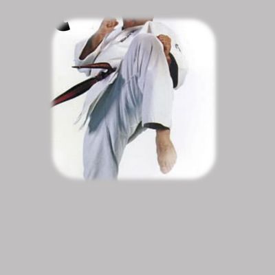 Martial Arts &amp; Training