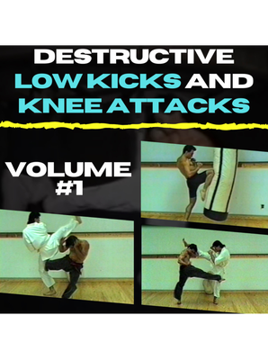 Destructive Low Kicks and Knee Attacks Volume #1
