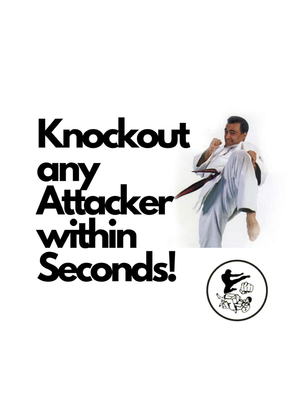 Knockout Any Attacker within Seconds