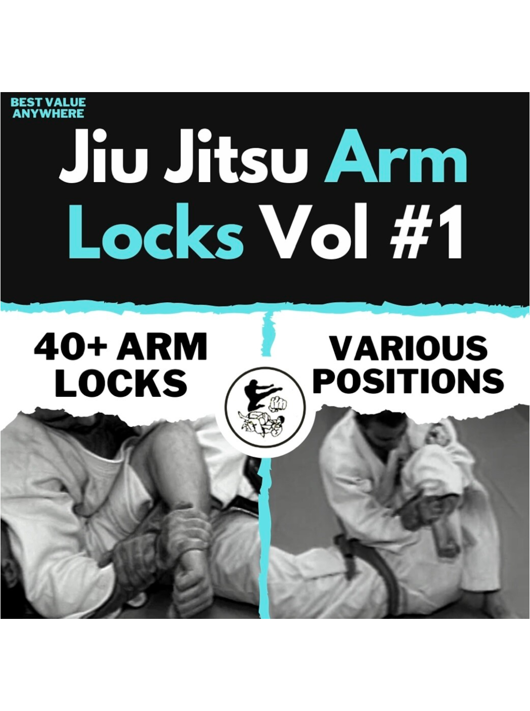 Jiu Jitsu Arm Locks Vol #1