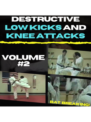 Destructive Low Kicks and Knee Attacks Volume #2