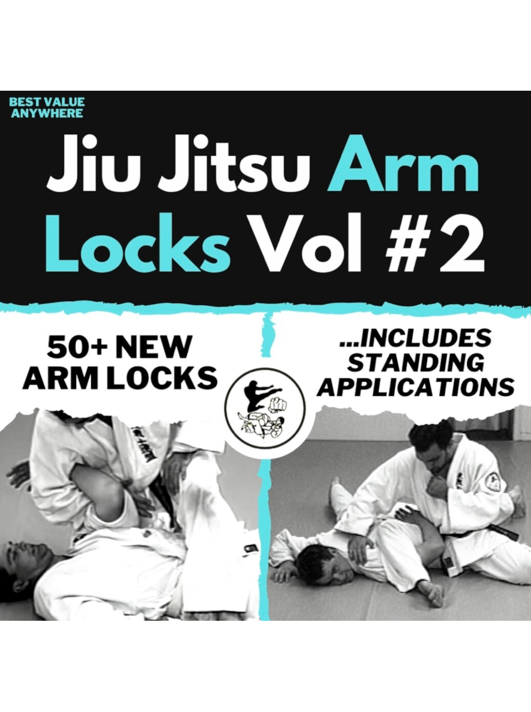 Jiu Jitsu Arm Locks Vol #2