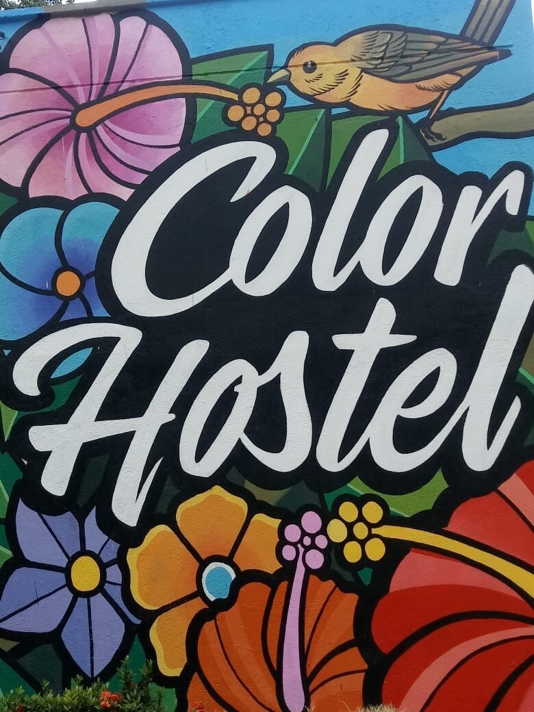 HOSTAL COLOR PALOMINO GUAJIRA.