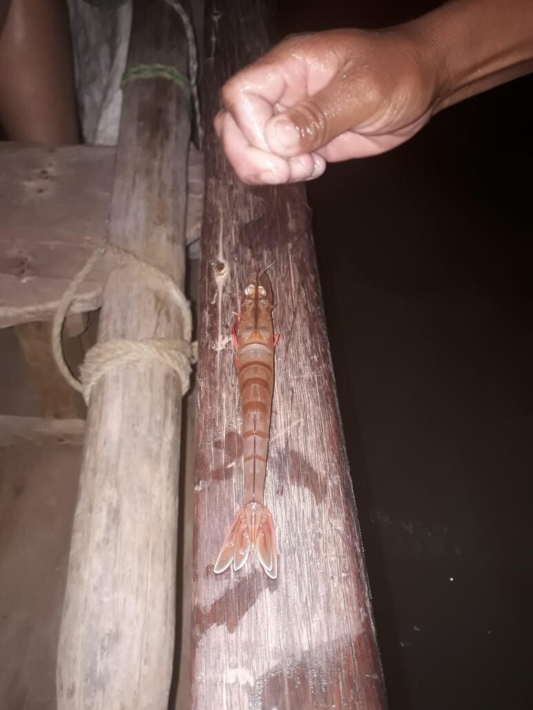 TOUR CAMARONES GUAJIRA