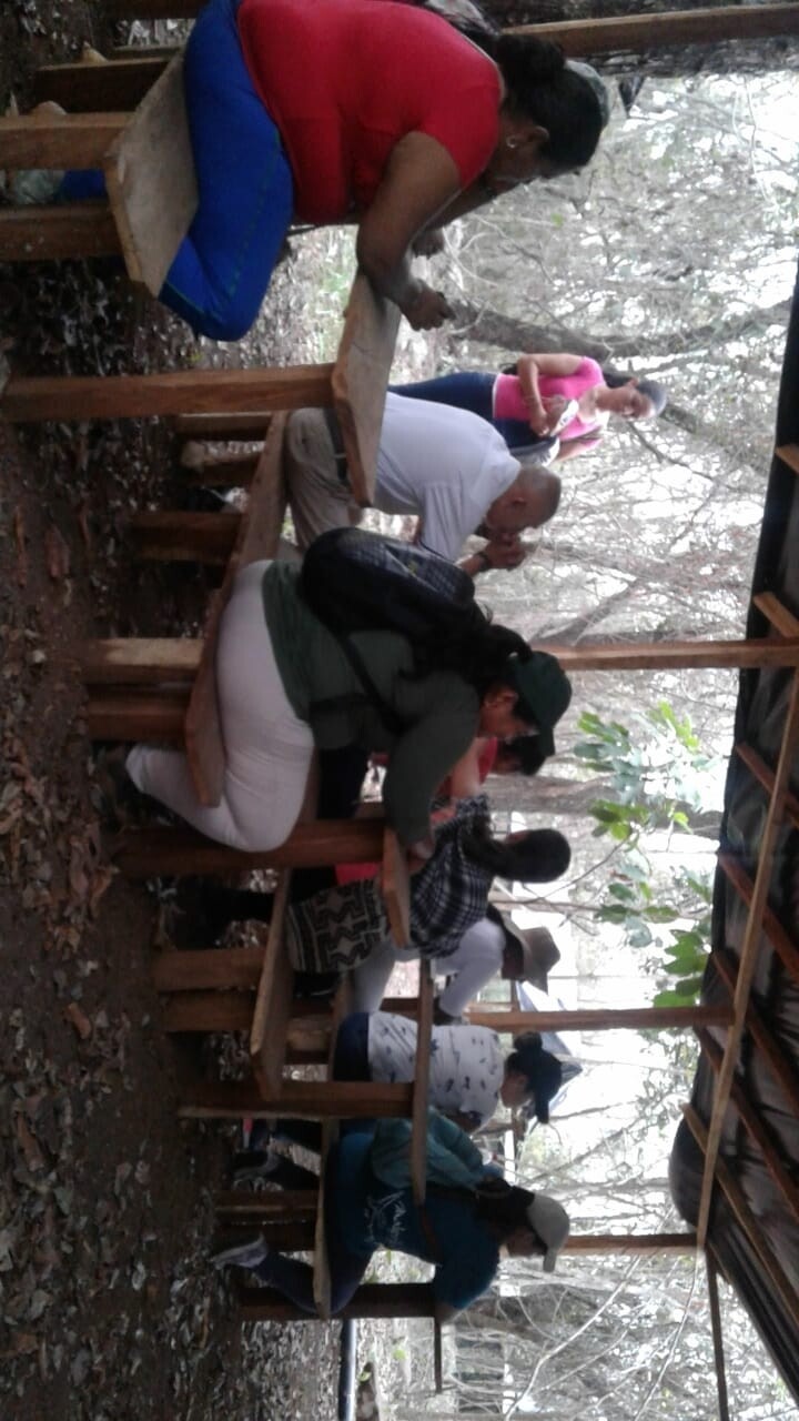 TOUR SENDEROS DE  PAZ 