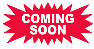 Bori Innovations "Official Black T-Shirt" Red, Silver, Blue Chrome/Metallic Logo