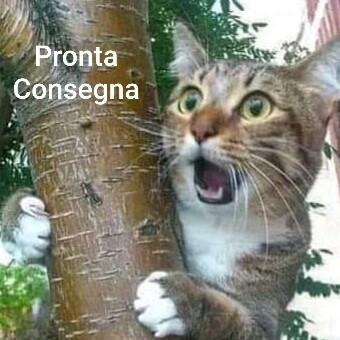 PRONTA CONSEGNA