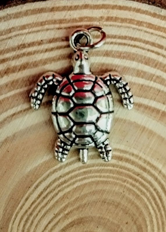 Amuleto económico TORTUGA