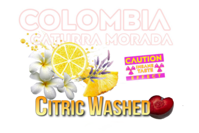 Colombia Citric Washed