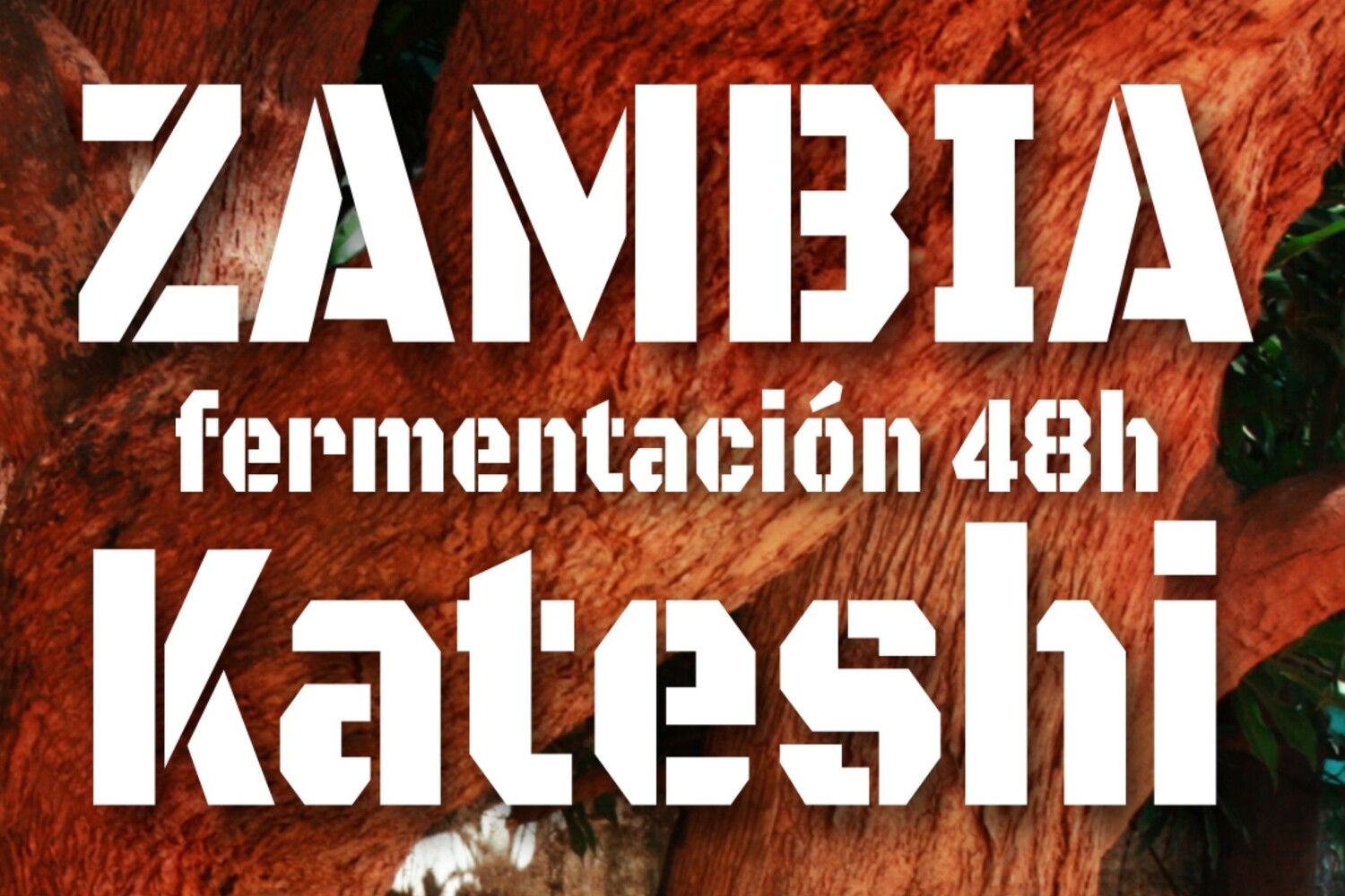 Zambia Kateshi