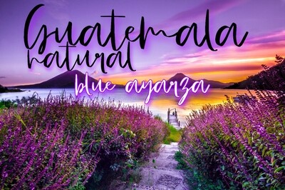 Guatemala Natural Blue Ayarza
