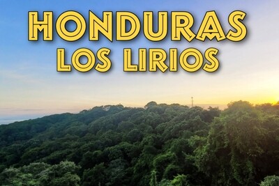 Honduras Los Lirios