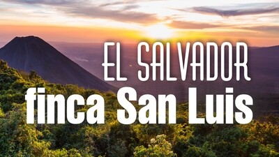 El Salvador Finca San Luis