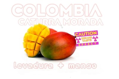 Colombia Mango Washed